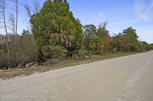 0 Yellowback Road, Weeki Wachee, FL 34614