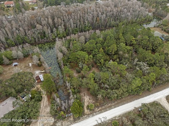 0 Yellowback Road, Weeki Wachee, FL 34614
