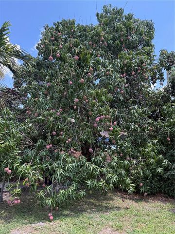 399 W 12th St, Hialeah, FL 33010