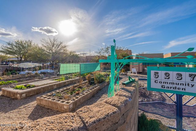 10523 E John McNair Place, Tucson, AZ 85747