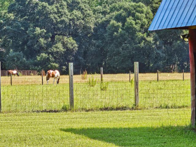 164 Haymakers Lane, Walterboro, SC 29488