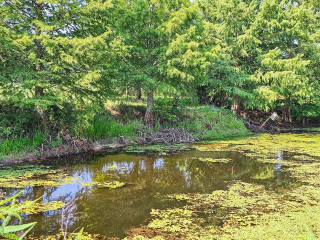 164 Haymakers Lane, Walterboro, SC 29488