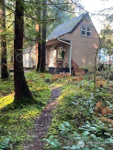 320 N Mt Jupiter Drive, Hoodsport, WA 98548