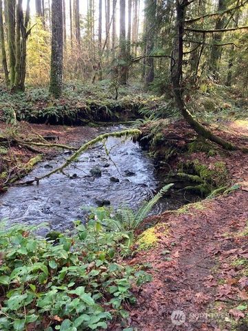 320 N Mt Jupiter Drive, Hoodsport, WA 98548