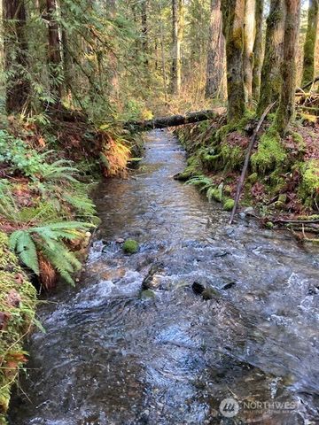 320 N Mt Jupiter Drive, Hoodsport, WA 98548