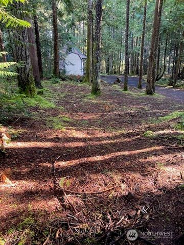 320 N Mt Jupiter Drive, Hoodsport, WA 98548