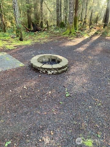 320 N Mt Jupiter Drive, Hoodsport, WA 98548