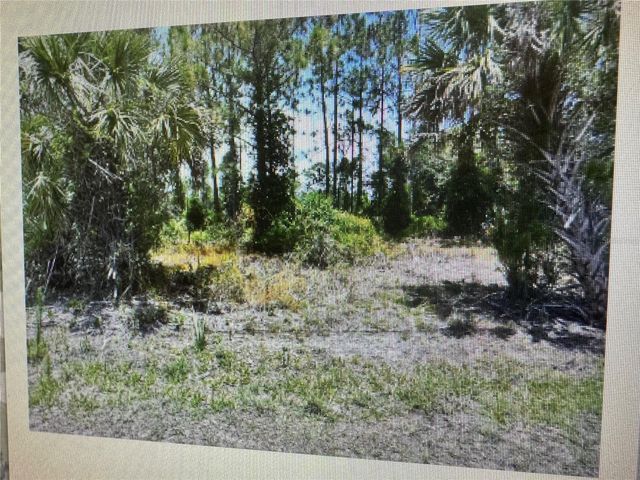 SAGO PALM ROAD, North Port, FL 34291