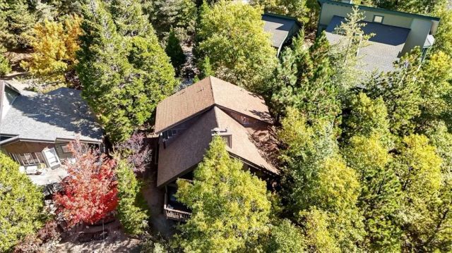 695 Grass Valley Road, Lake Arrowhead, CA 92352