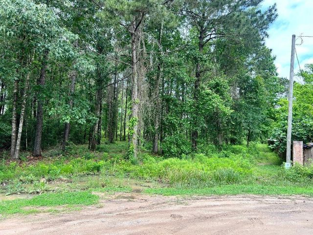 19212 Cannock Court, New Caney, TX 77357
