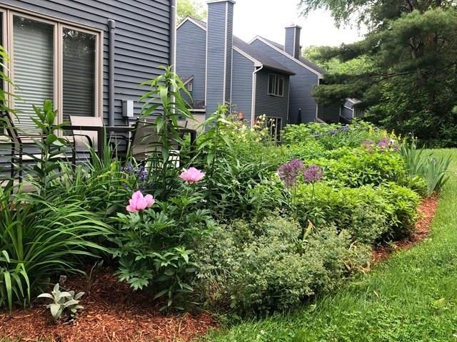 911 Dorset St Apt 29, South Burlington, VT 05403