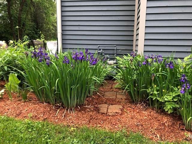 911 Dorset St Apt 29, South Burlington, VT 05403