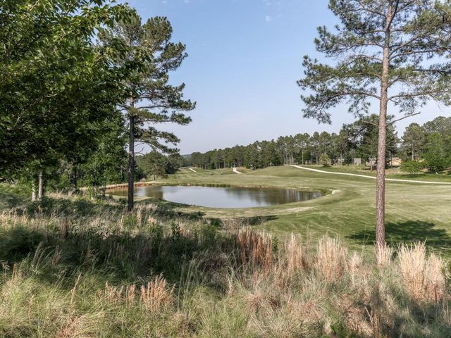 597 Lincolnwood Lane, Acworth, GA 30101