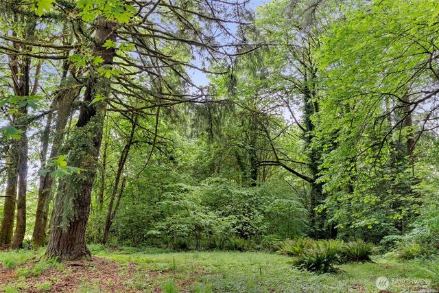 19132 Albany Street SW, Rochester, WA 98579