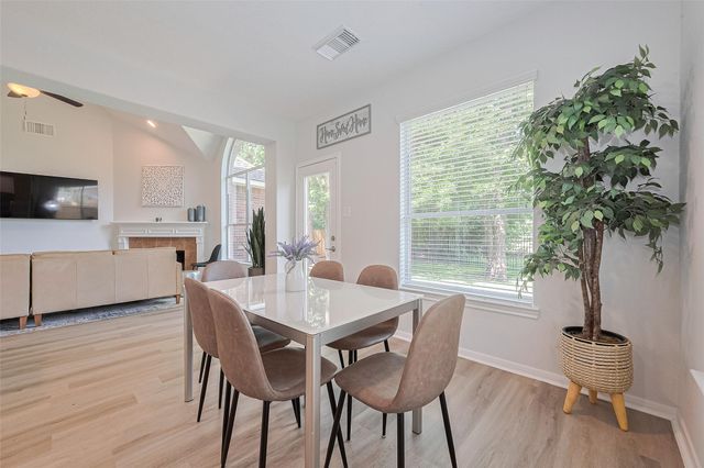 14 Sprite Woods Place, The Woodlands, TX 77382