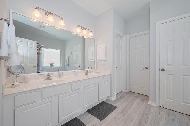 14 Sprite Woods Place, The Woodlands, TX 77382