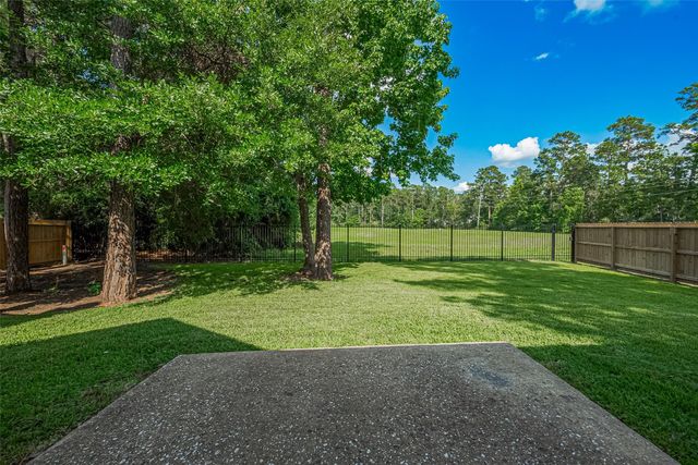 14 Sprite Woods Place, The Woodlands, TX 77382