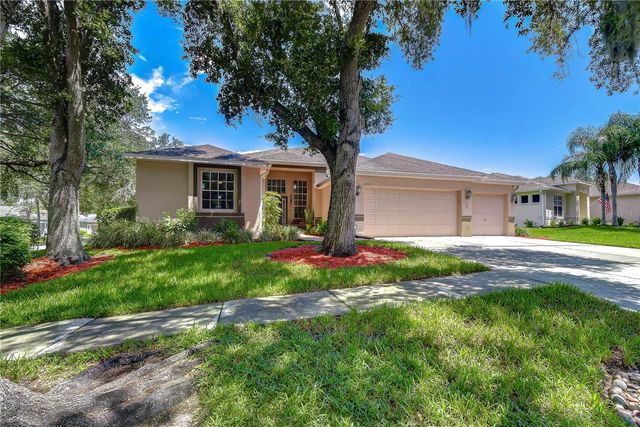 2202 LONGMORE CIRCLE, Valrico, FL 33596