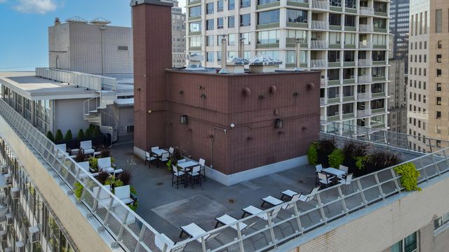 1000 N Lake Shore Drive 604, Chicago, IL 60611