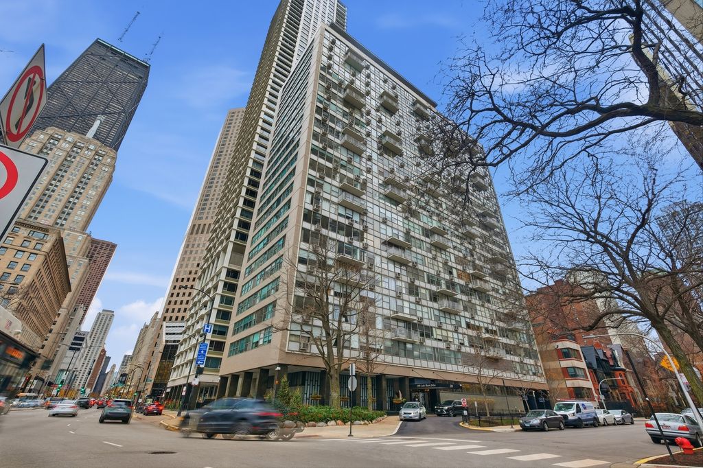 1000 N Lake Shore Drive 604, Chicago, IL 60611