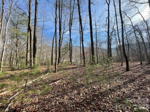 220 Max Metcalf Road, Swannanoa, NC 28778