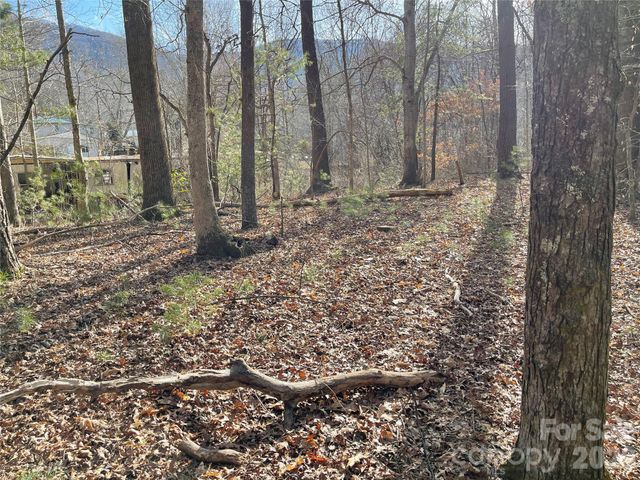 220 Max Metcalf Road, Swannanoa, NC 28778