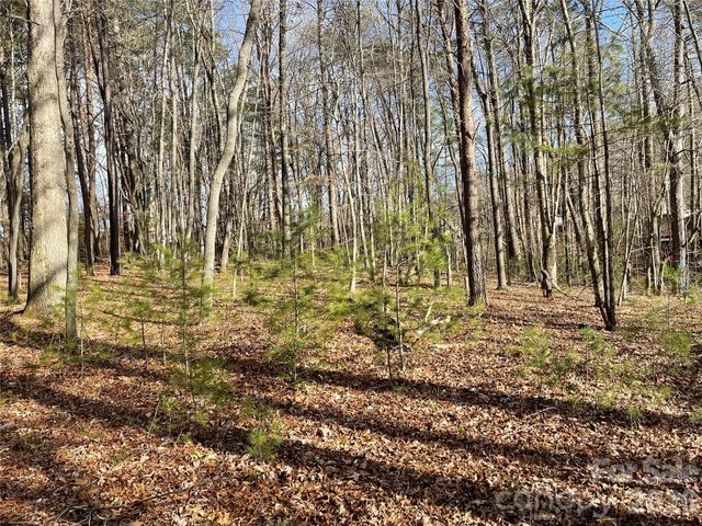 220 Max Metcalf Road, Swannanoa, NC 28778