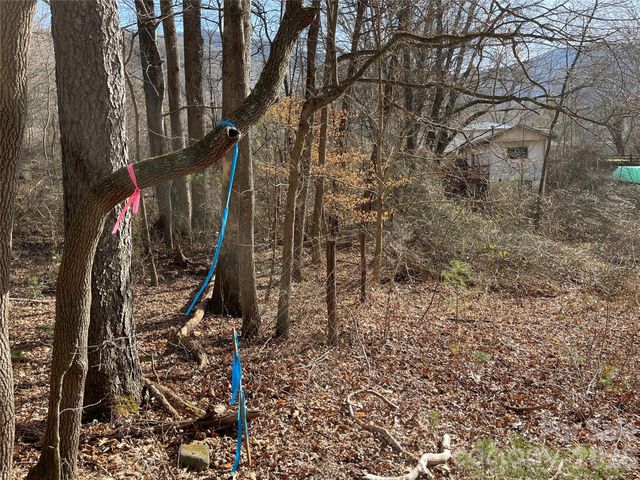 220 Max Metcalf Road, Swannanoa, NC 28778