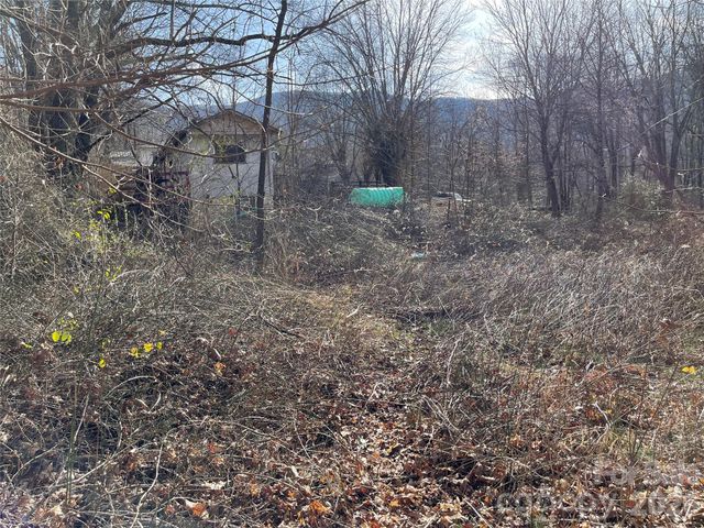 220 Max Metcalf Road, Swannanoa, NC 28778