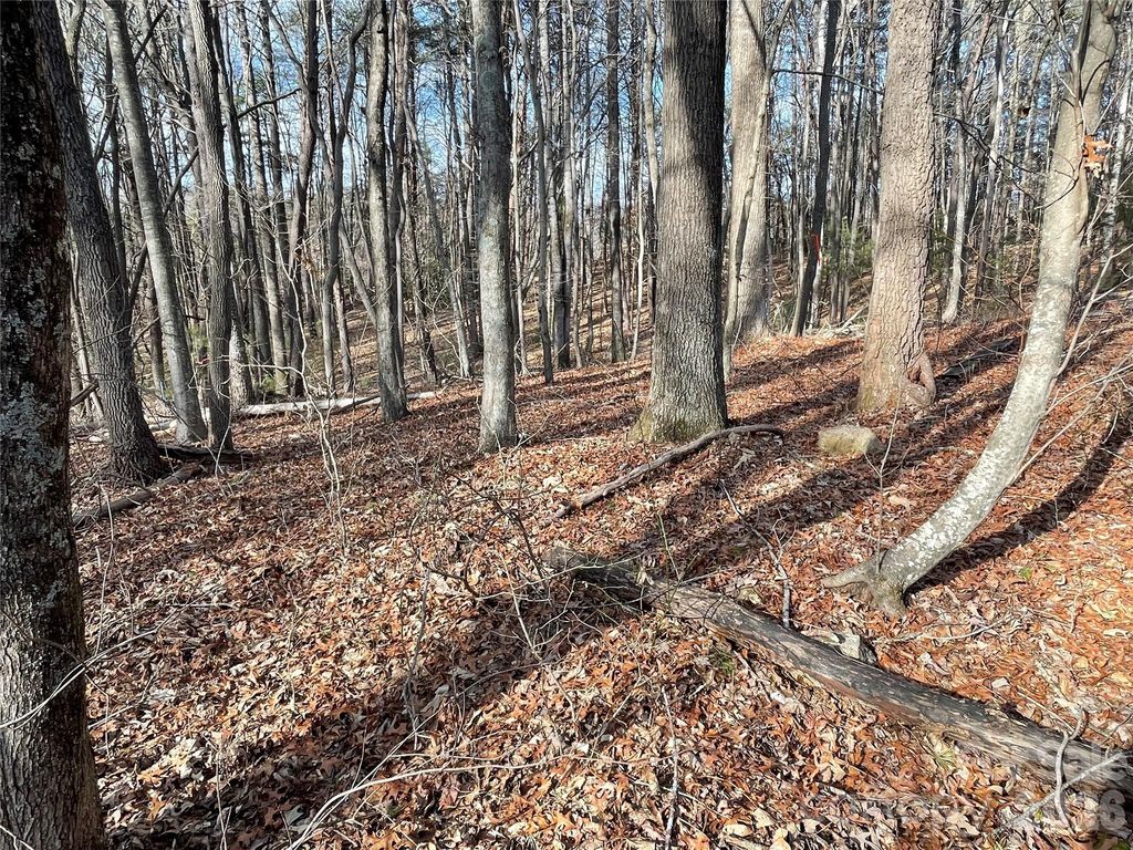 220 Max Metcalf Road, Swannanoa, NC 28778