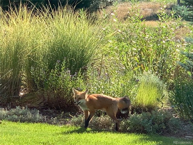 6569 S Blackhawk Way, Aurora, CO 80016