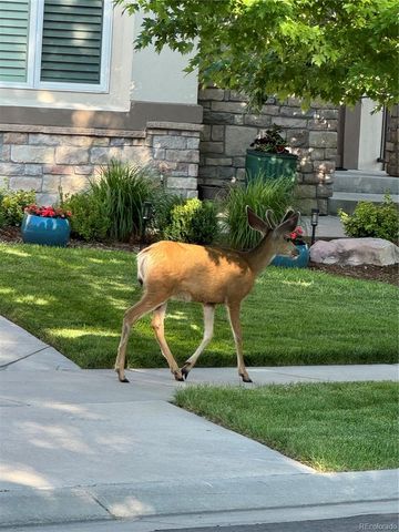 6569 S Blackhawk Way, Aurora, CO 80016