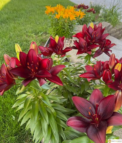 4920 S 66th Street, Lincoln, NE 68516