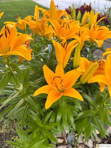 4920 S 66th Street, Lincoln, NE 68516