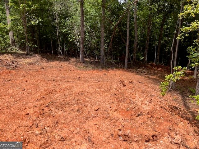 214 Signing Tree Trail, Clarkesville, GA 30523