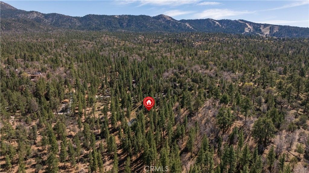 Image 39 of property listing at 384 Saw Mill Canyon, Big Bear City, CA 92314