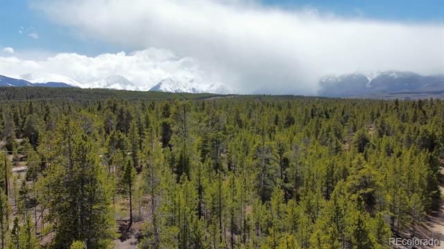 104 Spruce Drive, Twin Lakes, CO 81251
