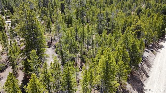 104 Spruce Drive, Twin Lakes, CO 81251
