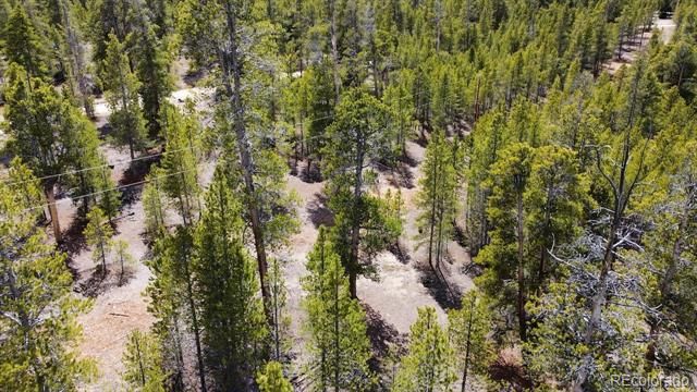 104 Spruce Drive, Twin Lakes, CO 81251