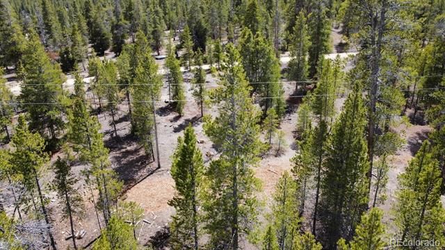 104 Spruce Drive, Twin Lakes, CO 81251