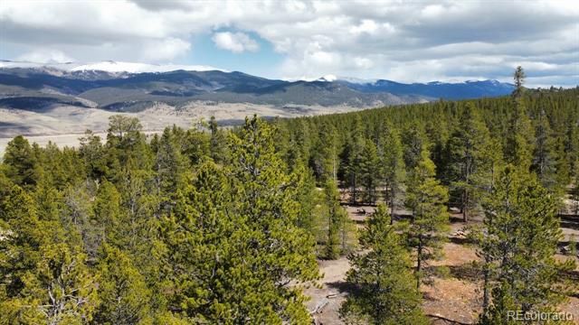 104 Spruce Drive, Twin Lakes, CO 81251