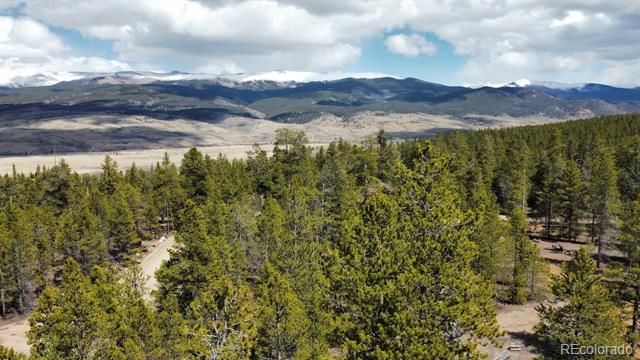 104 Spruce Drive, Twin Lakes, CO 81251