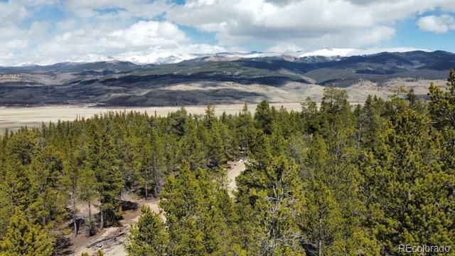 104 Spruce Drive, Twin Lakes, CO 81251