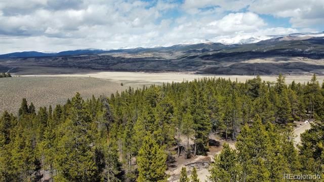 104 Spruce Drive, Twin Lakes, CO 81251