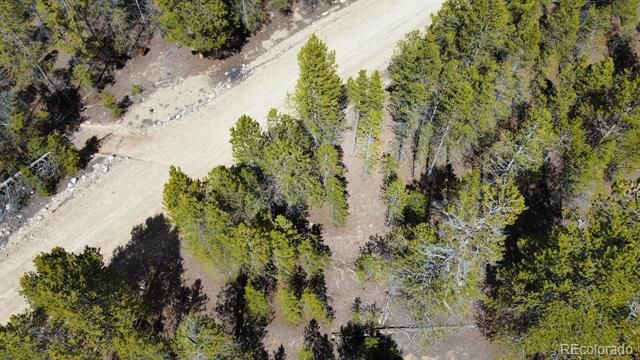 104 Spruce Drive, Twin Lakes, CO 81251