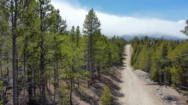 104 Spruce Drive, Twin Lakes, CO 81251