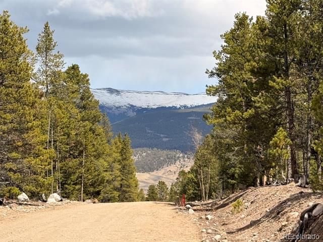104 Spruce Drive, Twin Lakes, CO 81251