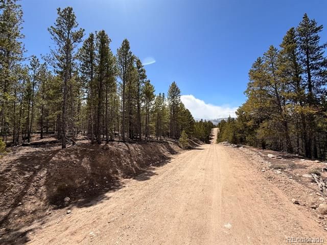 104 Spruce Drive, Twin Lakes, CO 81251