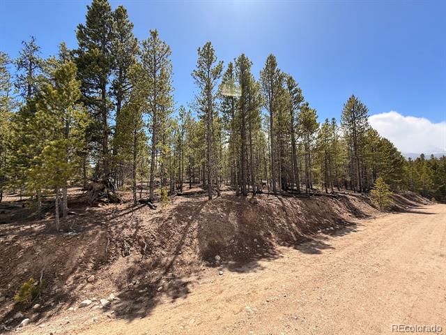 104 Spruce Drive, Twin Lakes, CO 81251