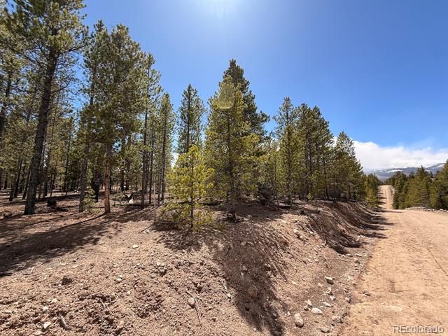 104 Spruce Drive, Twin Lakes, CO 81251
